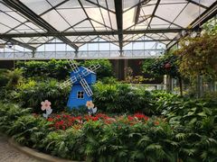 -南宫五洲植物乐园