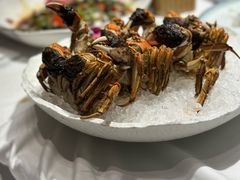 -鱼翅楼·津派砂锅鱼翅(水上公园店)