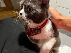 -有何Book(六堰体育馆店)