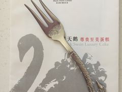 -BLACKSWAN黑天鹅(环球店)