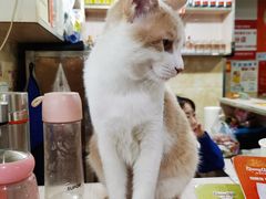 -储奇门鳝鱼火锅(总店)