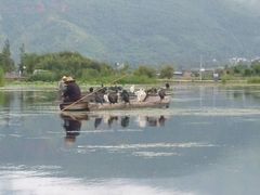-大理洱源西湖景区