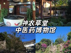 -广州神农草堂中医药博物馆