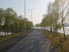 -艾溪湖湿地公园