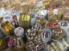 -溪岸路花鸟市场