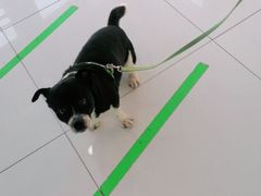 -北京恒爱动物医院(清景园分院)