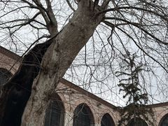 -土耳其与伊斯兰艺术博物馆