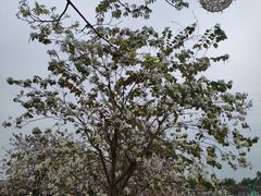 -盈香心动乐园