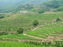 -牙胡梯田景区