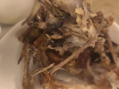 -百利鸽王(紫薇路店)