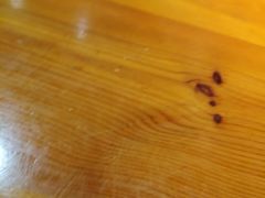 -陈家婆的菜(梅溪湖店)