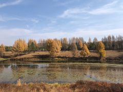 -塞罕坝国家级自然保护区