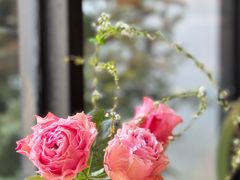 -自由生长植物工作室(深港花卉中心店)