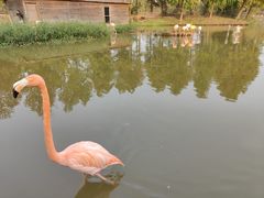 -宁波杭州湾国家湿地公园