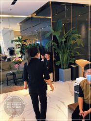 -罗亚帝造型·烫发染发