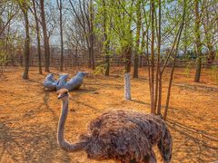 -大连森林动物园