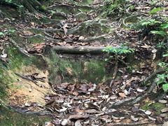 -城崎温泉 外七汤