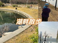 -天鹅湖体育公园