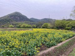 -八卦田遗址公园