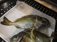 -海大大蒸汽海鲜餐厅·粤菜·特色小炒(欢乐颂店)