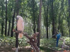 -北京野生动物园