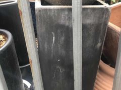 -双季花艺园艺市场(浦东店)