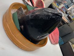 -南纪白浜Toretore市场