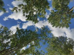 -敕勒川草原文化旅游区