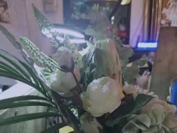 -匿名者纹身学院派·刺青