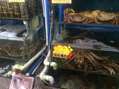 -蚝专家(北滘店)