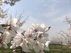 -南京邮电大学(仙林校区)