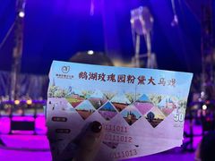 -鹅湖玫瑰文化园