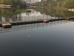 -重庆彩云湖湿地公园