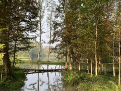 -桤木河湿地公园