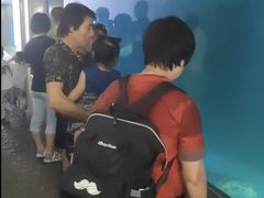 -厦门海底世界