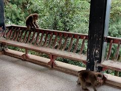 -峨眉山风景名胜区