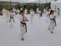 -极真空手道修远道场