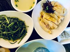 -Asianplus海蓝鸡饭