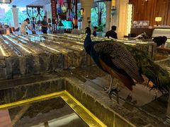 -西双版纳融创皇冠假日度假酒店