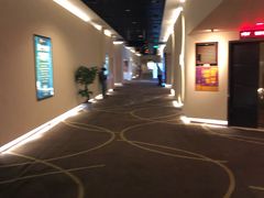 -嘉华国际影城(学清路店)
