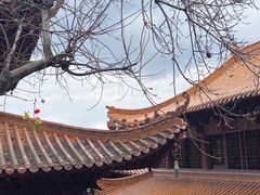 -深圳仙湖植物园