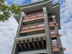 -王借岗森林公园