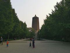 -玲珑塔公园
