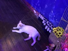 -星宿秘码(鼓浪屿老店)