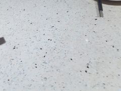 -阿莉餐厅(枣阳路店)