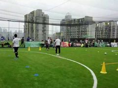 洛克公园(莘庄店)-洛克公园·篮球·足球·羽毛球(莘庄店)