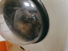 -瑞鹏宠物医院·爱宠堂·骨外专科(西荷分院)