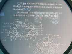 -中国湿地博物馆