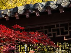 -郑和公园