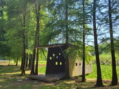 -南宁良凤江国家森林公园